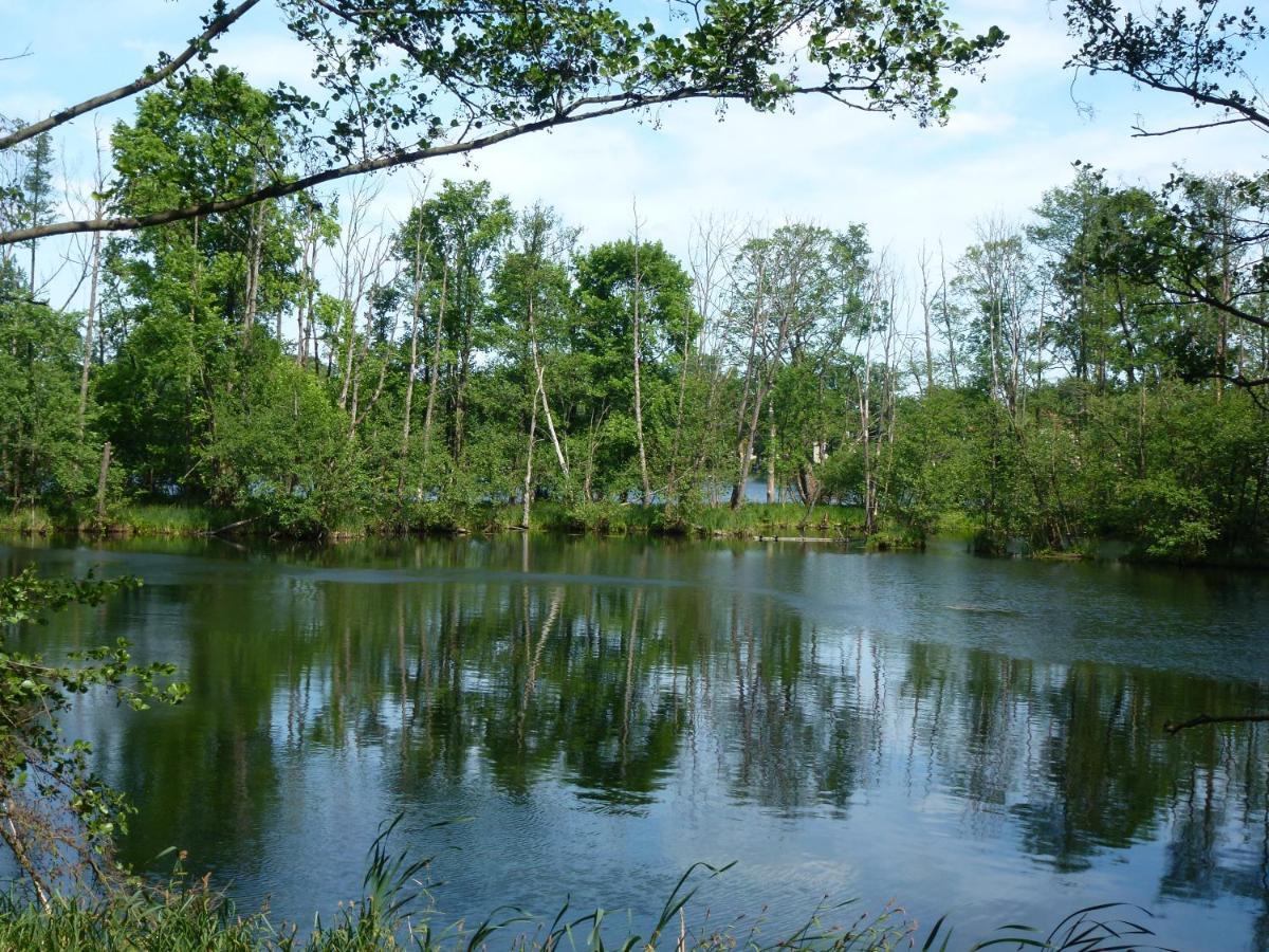 Seeblick Kemnitz Werder  Εξωτερικό φωτογραφία